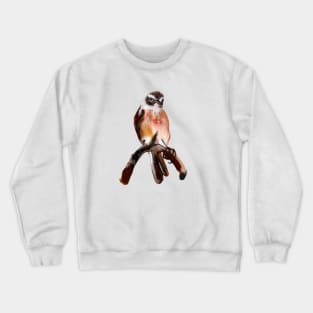 Little bird perched on branch. Canarian stonecutter Crewneck Sweatshirt